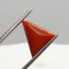 Coral Triangle 5.90 Ct