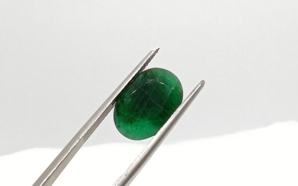Genuine Emerald Sapota set2
