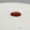 Garnet African 4.43 Ct - Image 4